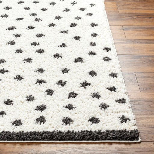 Birmingham BMM-2301 Rug