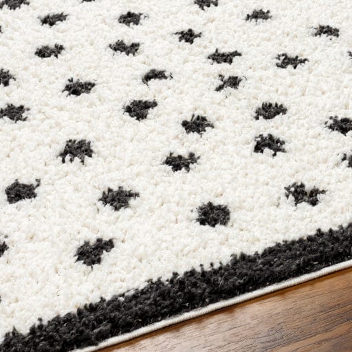 Birmingham BMM-2301 Rug