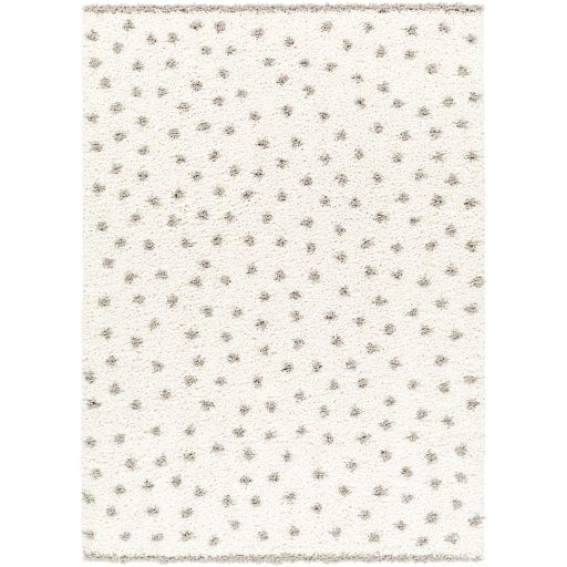 Birmingham BMM-2302 Rug