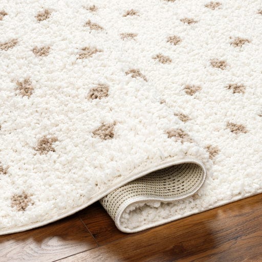 Birmingham BMM-2303 Rug