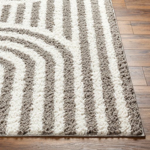 Birmingham BMM-2305 Rug