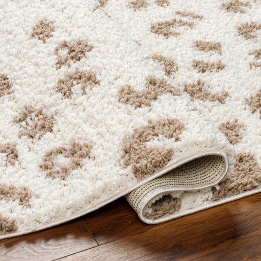 Birmingham BMM-2309 Rug