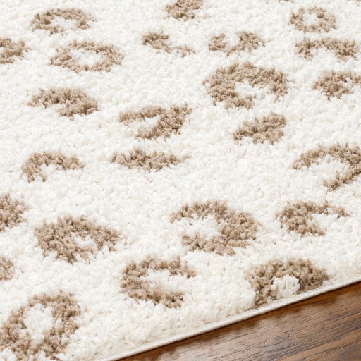 Birmingham BMM-2309 Rug