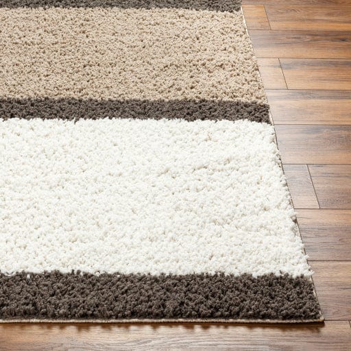 Birmingham BMM-2317 Rug