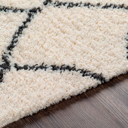 Beni Shag BSH-2301 Rug