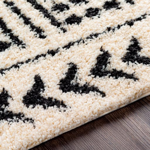 Beni Shag BSH-2305 Rug