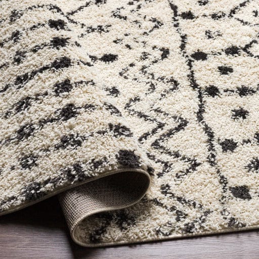 Beni Shag BSH-2309 Rug