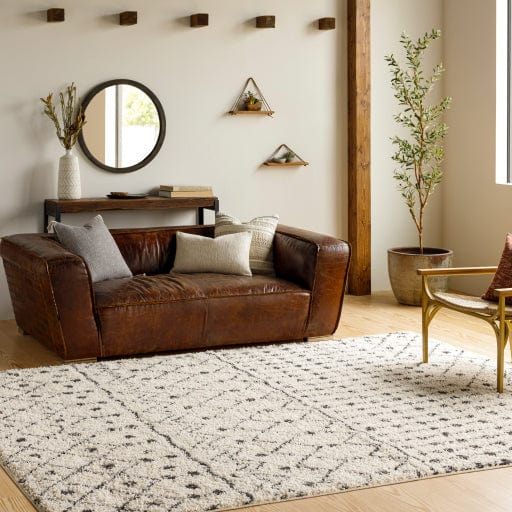 Beni Shag BSH-2309 Rug