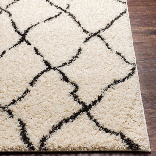 Beni Shag BSH-2312 Rug