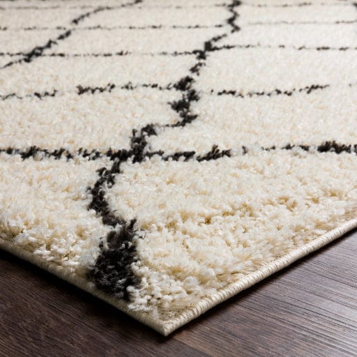 Beni Shag BSH-2312 Rug