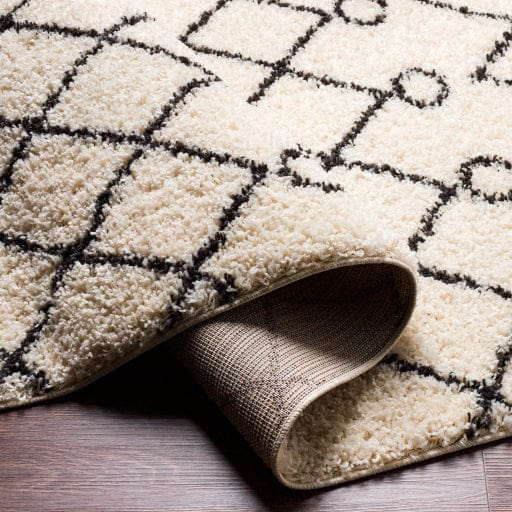 Beni Shag BSH-2313 Rug