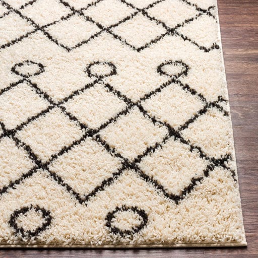 Beni Shag BSH-2313 Rug