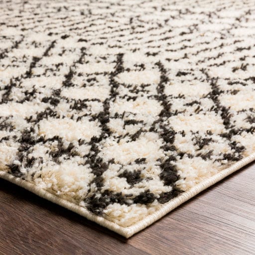 Beni Shag BSH-2319 Rug