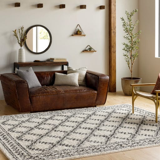 Beni Shag BSH-2328 Rug