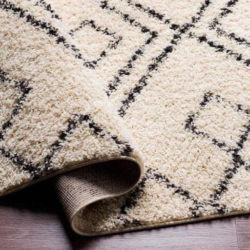 Beni Shag BSH-2331 Rug