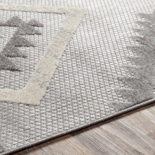 Big Sur BSR-2313 Rug