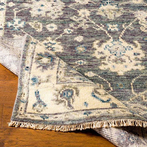 Biscayne BSY-2307 Rug