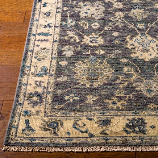 Biscayne BSY-2307 Rug