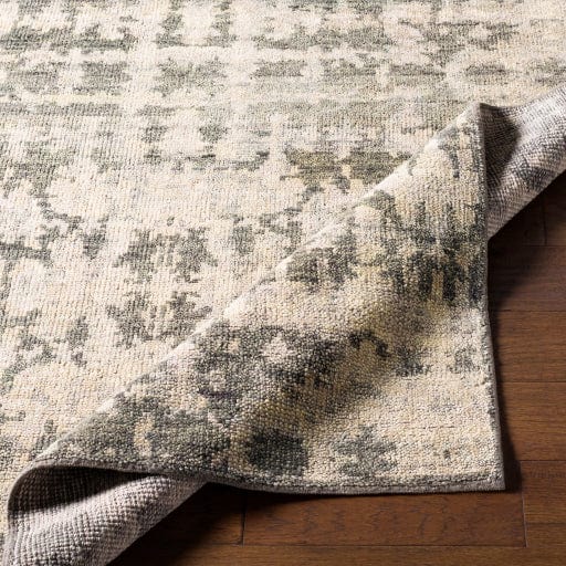 Biscayne BSY-2309 Rug