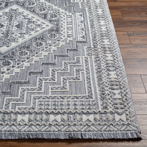 Broadway BWY-2301 Rug