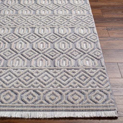 Broadway BWY-2304 Rug