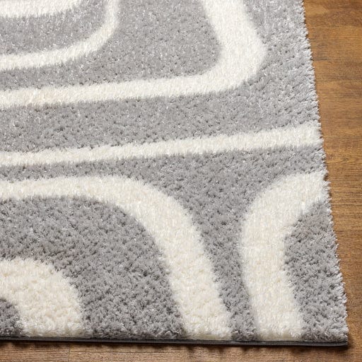 Cloudy Shag CDG-2310 Rug