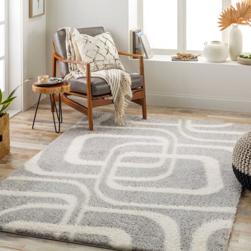 Cloudy Shag CDG-2310 Rug