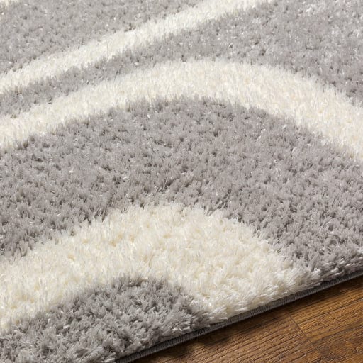 Cloudy Shag CDG-2310 Rug