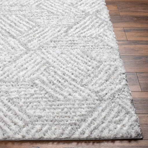 Cloudy Shag CDG-2320 Rug