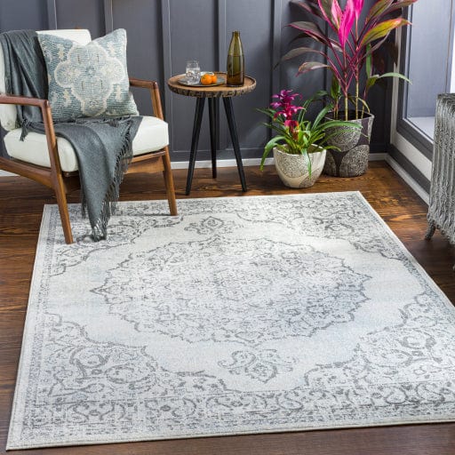 Chester CHE-2376 Rug