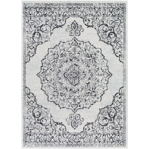 Chester CHE-2377 Rug