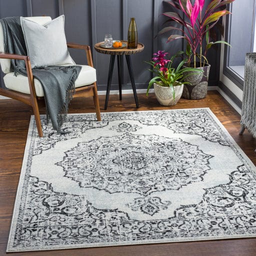 Chester CHE-2377 Rug