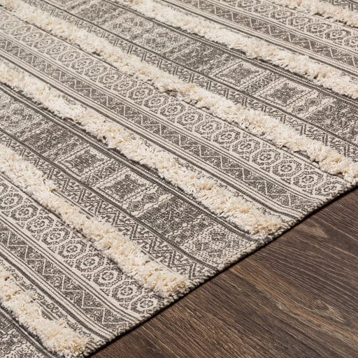 Calisa CLC-2300 Rug