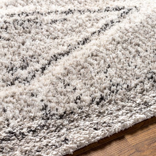 Capella Shag CPS-2304 Rug