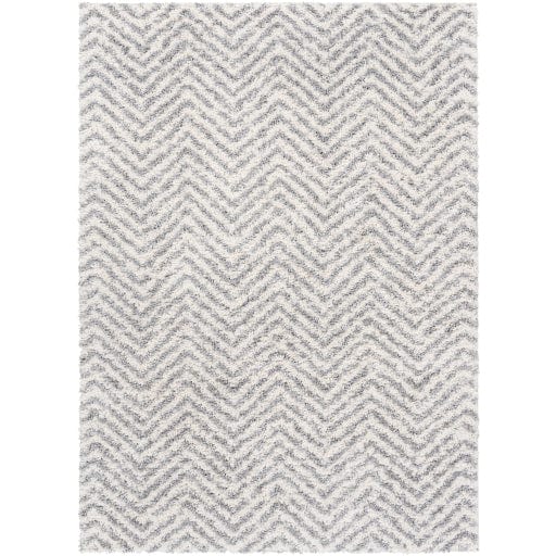 Deluxe Shag DXS-2307 Rug