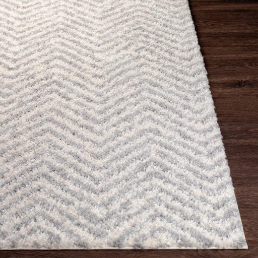 Deluxe Shag DXS-2307 Rug