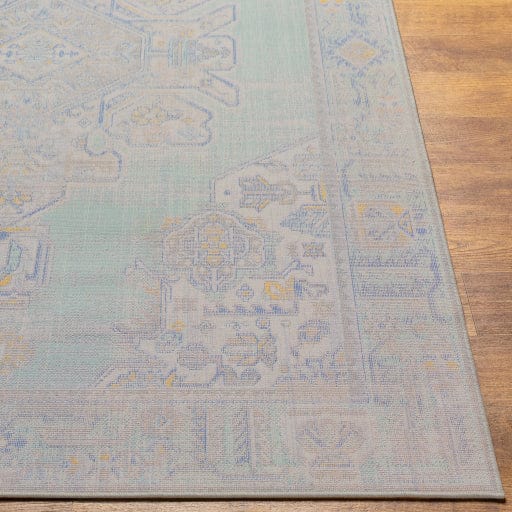 Rafetus ETS-2364 Rug