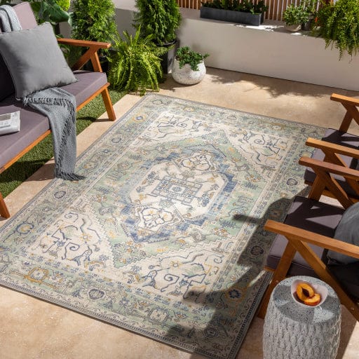 Rafetus ETS-2366 Rug