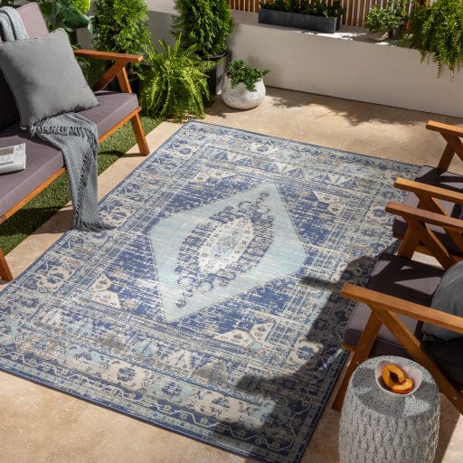 Rafetus ETS-2371 Rug