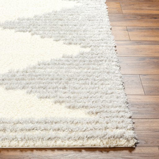 Everton Plus EVP-2307 Rug