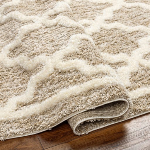 Florida FLD-2302 Rug