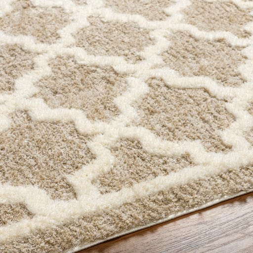 Florida FLD-2302 Rug