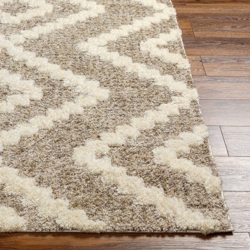 Florida FLD-2303 Rug