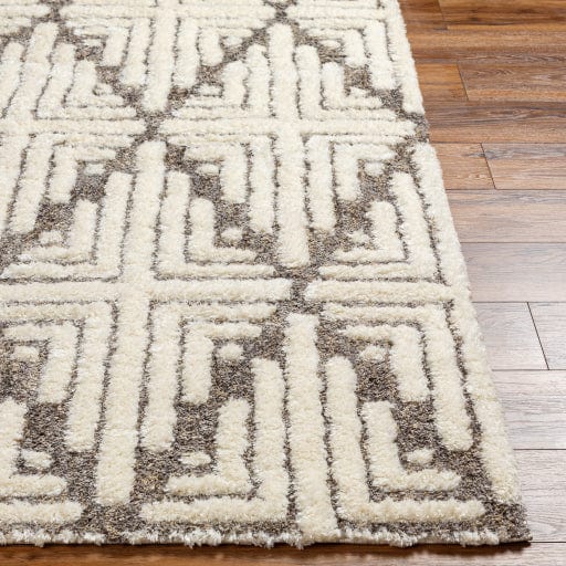 Florida FLD-2310 Rug