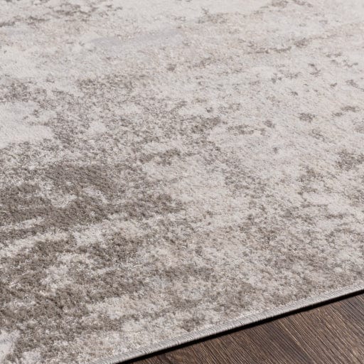 Firenze FZE-2303 Rug