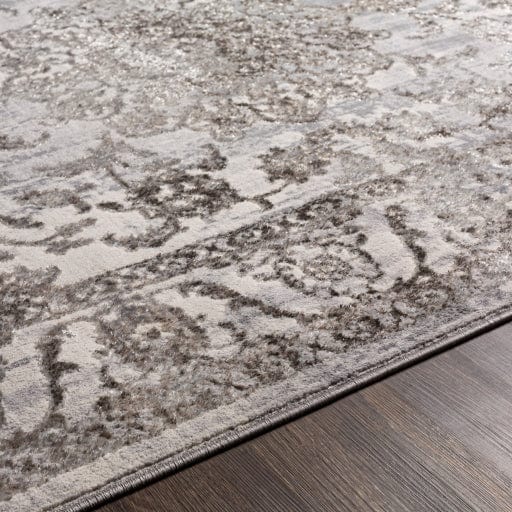 Firenze FZE-2310 Rug