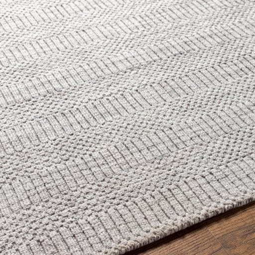 Hickory HCK-2302 Rug