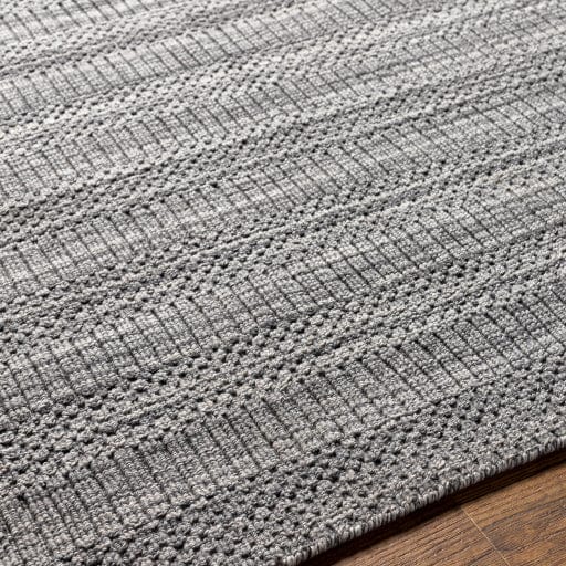 Hickory HCK-2303 Rug