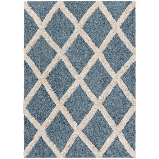 Hudson Shag HDS-2301 Rug