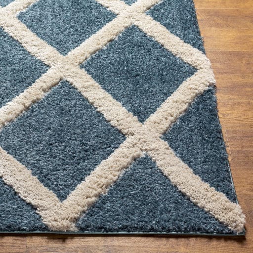 Hudson Shag HDS-2301 Rug